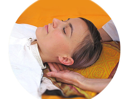 Formation au Shiatsu des méridiens du Iokaï Shiatsu France- Bretagne Sud – 2021-2022