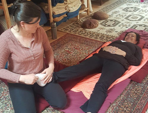 Formation au Shiatsu des méridiens Iokaï – Module 2 – Année 2023-2024 – dernières dates 2024