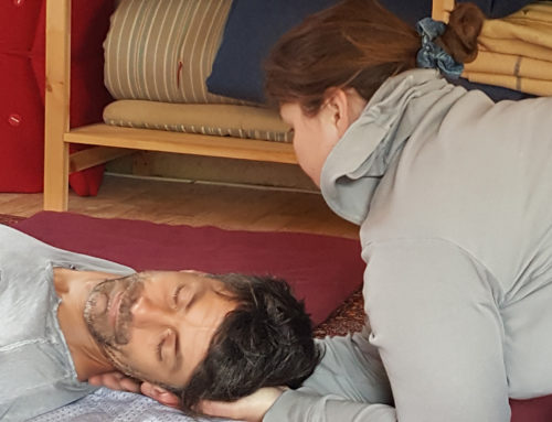 Atelier avancé module 2 – Diagnostic et traitement par le Shiatsu des méridiens – septembre à décembre 2024