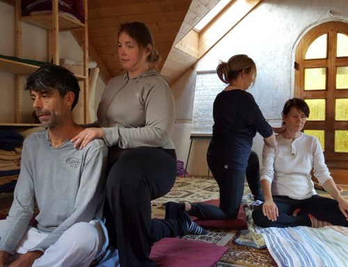 Formation au Iokaï Shiatsu: les enchainements de base ou Katas 2023