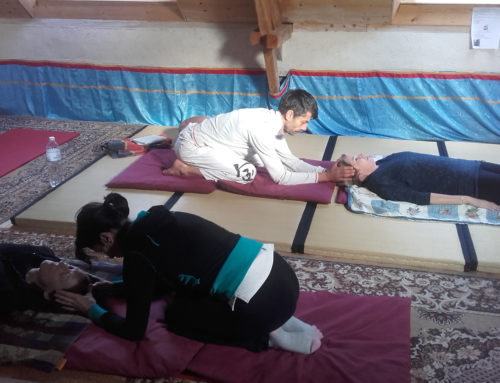 Formation au Shiatsu des méridiens Iokaï – Module 2 – Année 2023-2024