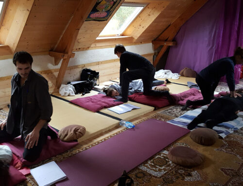 Cours de Do in et Shiatsu le mardi soir