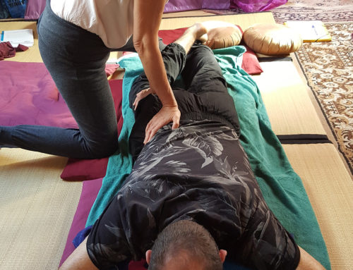 Shiatsu Méridiens élèves 2019-2020