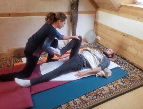 Formation certifiante en cours mensuels  2025 – 2026  – Iokaï Shiatsu Bretagne