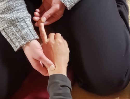 Le SHIATSU DES MÉRIDIENS IOKAÏ: le cœur de l’enseignement – Programme 2024-2225
