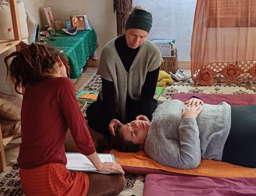 Formation certifiante en cours mensuels  Dates 2025 – Iokaï Shiatsu Bretagne