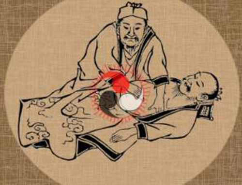 Atelier avancé module 2 – Diagnostic et traitement par le Shiatsu des méridiens – avril à juin 2025