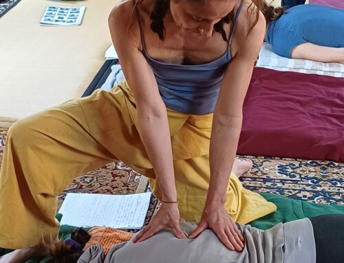 Formation certifiante en cours mensuels  2025 – 2026  – Iokaï Shiatsu Bretagne