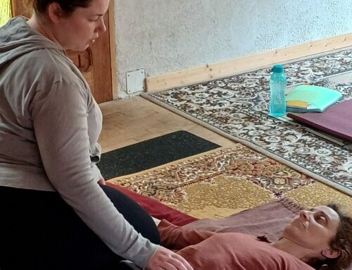 Atelier avancé Shiatsu mars à juin 2026
