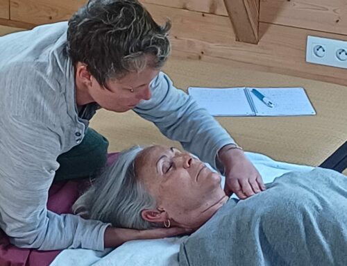 Atelier avancé module 2 – Diagnostic et traitement par le Shiatsu des méridiens – septembre à décembre 2025 2025