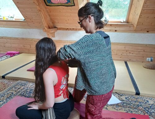 Cours du mardi soir Do in et Shiatsu  mars à juin 2026