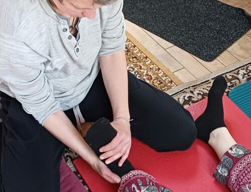 Formation Do In et Shiatsu 2026 – Module 2: Les Méridiens du Iokaï Shiatsu 