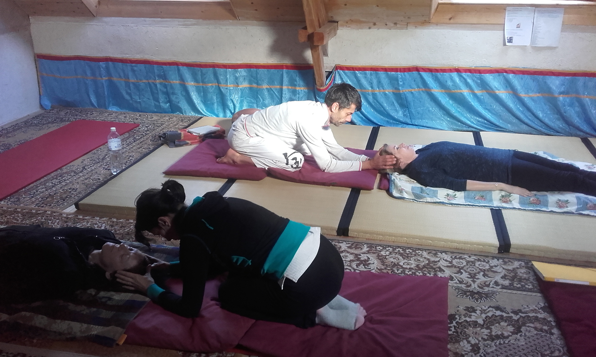 Formation au Shiatsu des méridiens Iokaï – Module 2 – Année 2023-2024